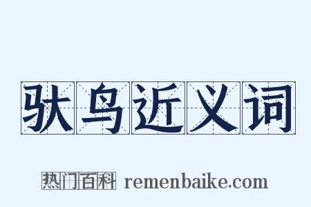驮鸟近义词是什么意思的图片